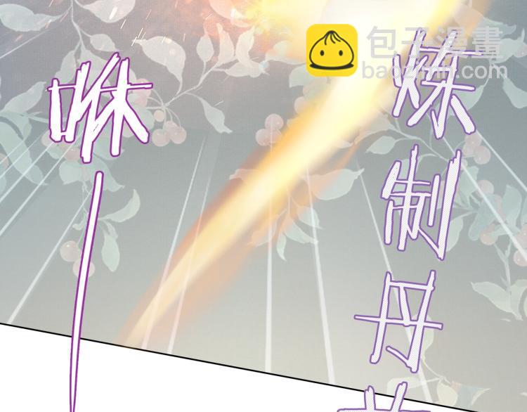 《魔君大人，夫人又暴走了！》第33话 为你甘当随从 第47页