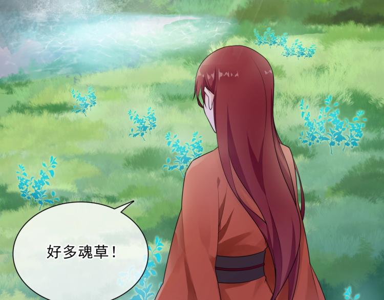 《魔君大人，夫人又暴走了！》第43话 与魂兽…结合？ 第27页