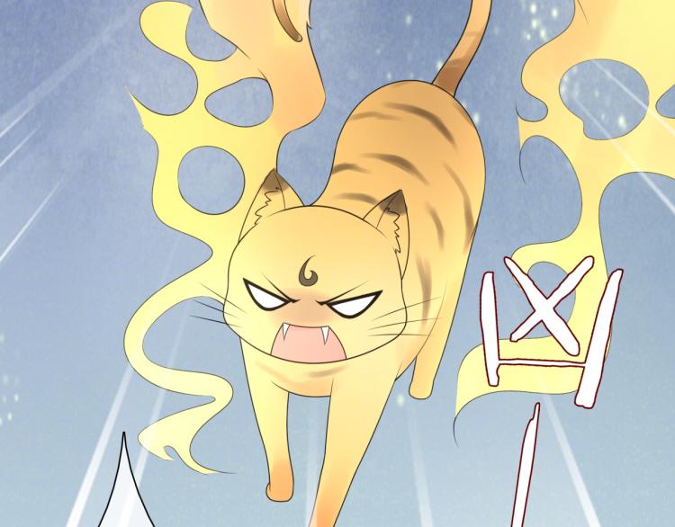 《魔君大人，夫人又暴走了！》第45话 我的小猫咪 第13页