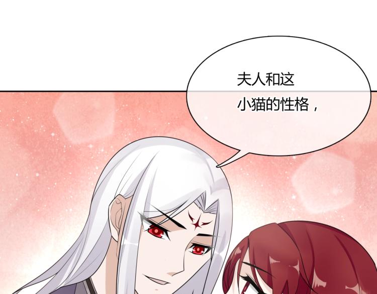 《魔君大人，夫人又暴走了！》第45话 我的小猫咪 第27页