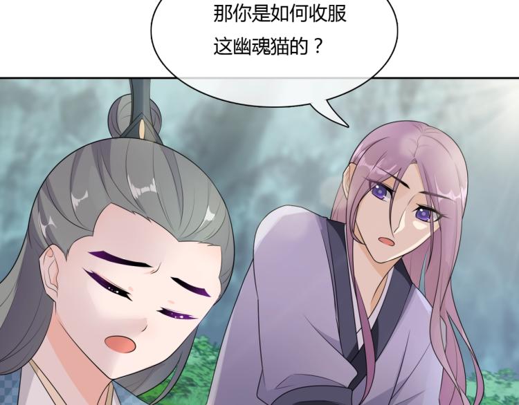 《魔君大人，夫人又暴走了！》第45话 我的小猫咪 第35页