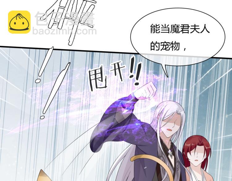 《魔君大人，夫人又暴走了！》第45话 我的小猫咪 第45页