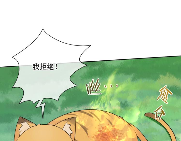 《魔君大人，夫人又暴走了！》第45话 我的小猫咪 第48页