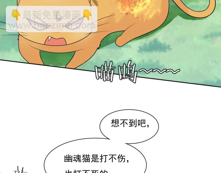 《魔君大人，夫人又暴走了！》第45话 我的小猫咪 第49页