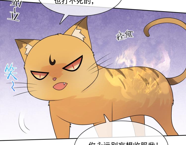 《魔君大人，夫人又暴走了！》第45话 我的小猫咪 第50页