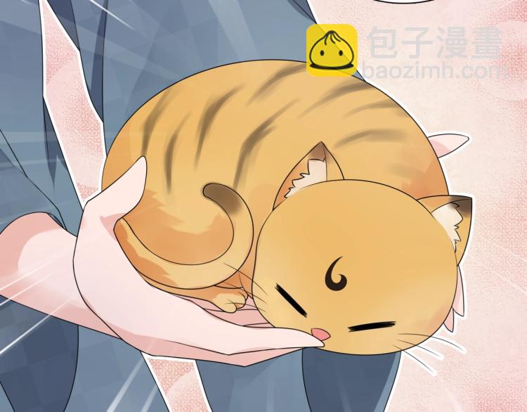 《魔君大人，夫人又暴走了！》第45话 我的小猫咪 第7页