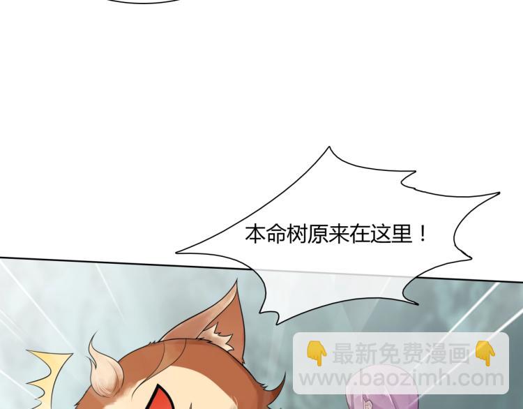 《魔君大人，夫人又暴走了！》第44话 为夫人准备的大礼 第11页