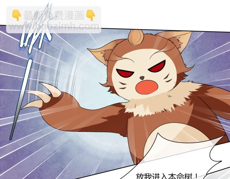 《魔君大人，夫人又暴走了！》第44话 为夫人准备的大礼 第16页