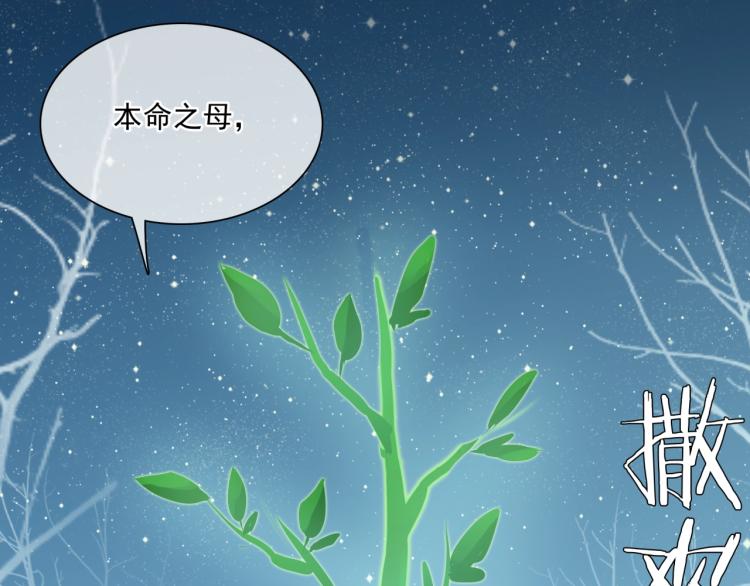 《魔君大人，夫人又暴走了！》第44话 为夫人准备的大礼 第33页