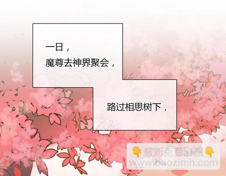 《魔君大人，夫人又暴走了！》第56话 前尘情缘 第11页