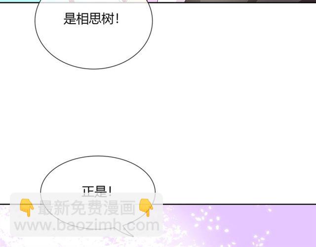 《魔君大人，夫人又暴走了！》第65话 秘密 第46页