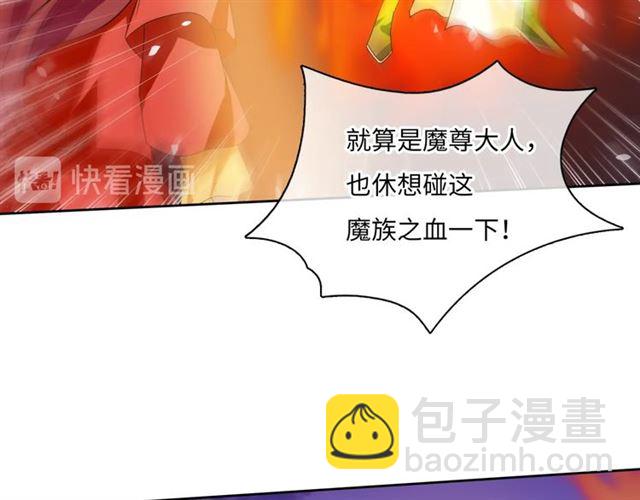 《魔君大人，夫人又暴走了！》第89话 环境之术 第17页