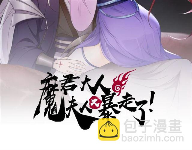 《魔君大人，夫人又暴走了！》第89话 环境之术 第2页