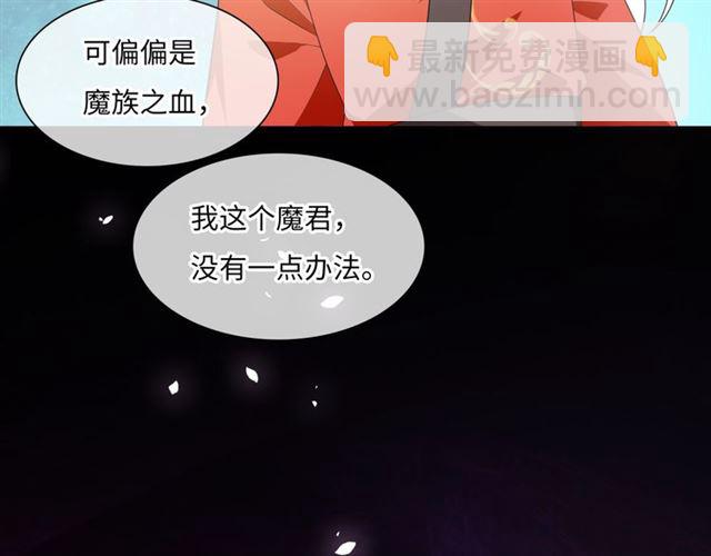《魔君大人，夫人又暴走了！》第88话 夫人当心！ 第11页