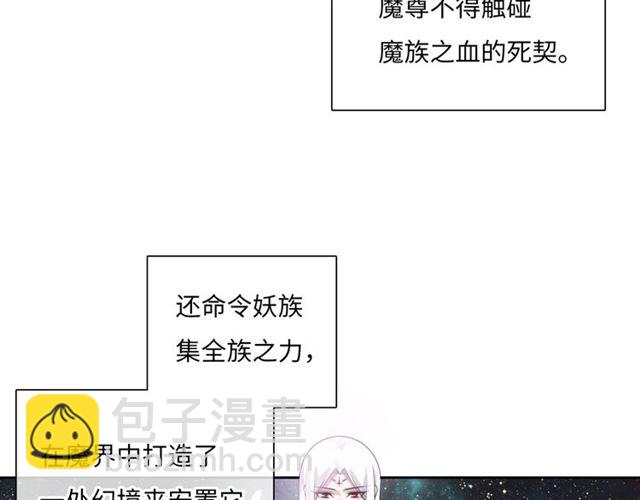《魔君大人，夫人又暴走了！》第88话 夫人当心！ 第19页