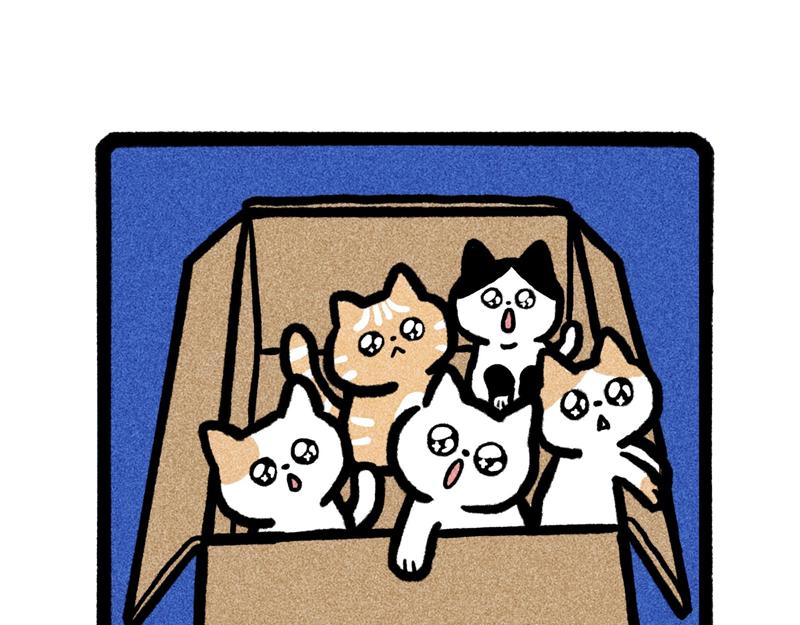 《鳄里斯和鱼英俊》嘘，生活 第10页