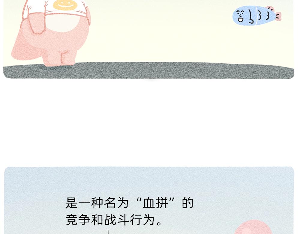 《鳄里斯和鱼英俊》送你一份终极购物省钱指南 第18页