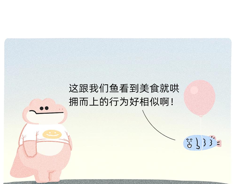 《鳄里斯和鱼英俊》送你一份终极购物省钱指南 第23页