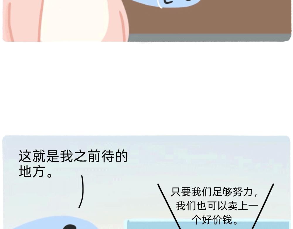 《鳄里斯和鱼英俊》PUA的尽头就是反杀PUA 第23页