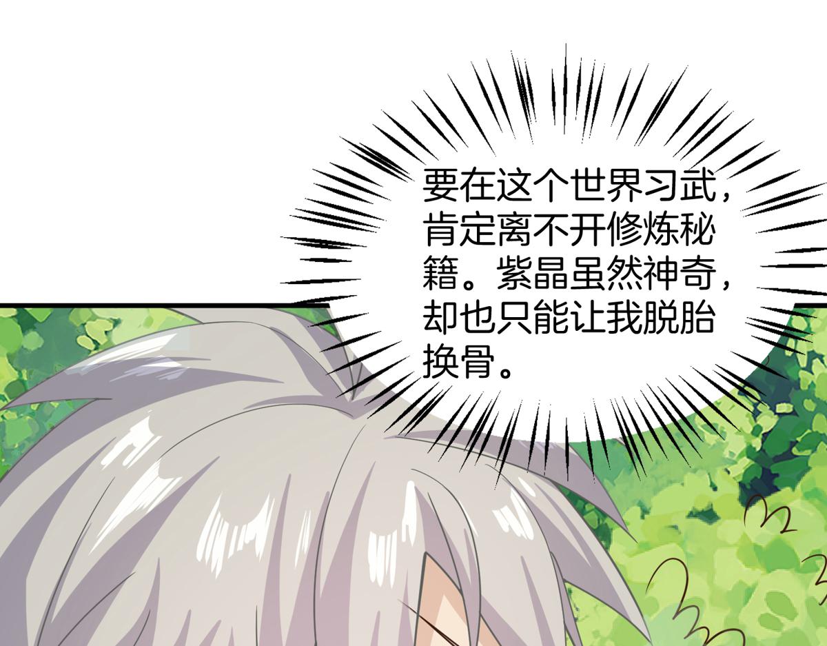 《真武世界》008 偷师 第27页