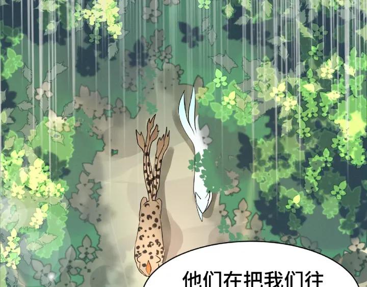 《魂兵之戈（最新版）》61话 包围圈（上） 第19页