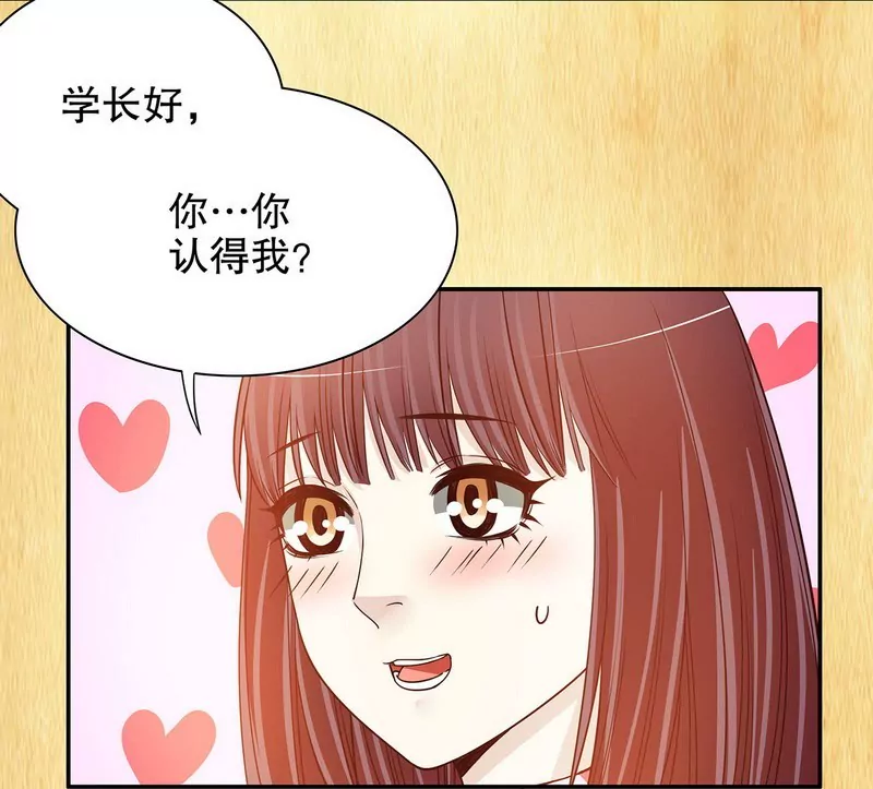 《恶魔总裁二次初恋》第32话 我不是姐姐 第29页