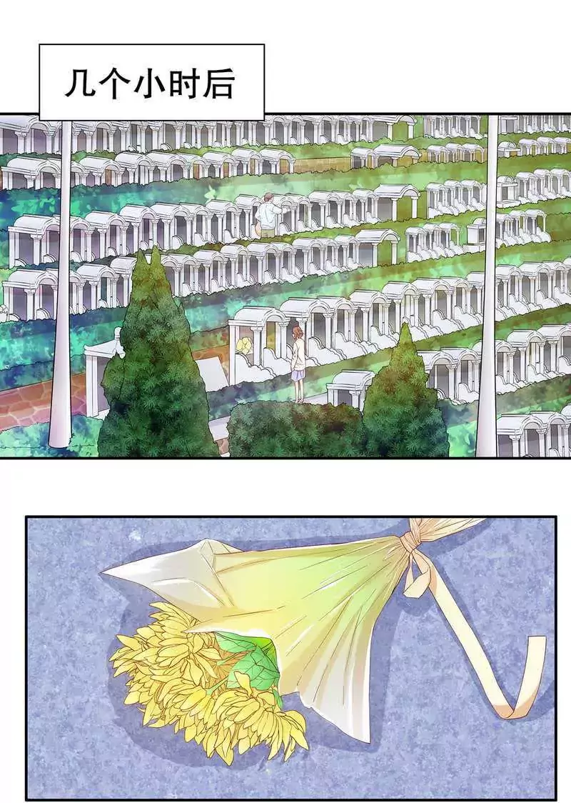 《恶魔总裁二次初恋》第51话 姐姐的忌日 第6页