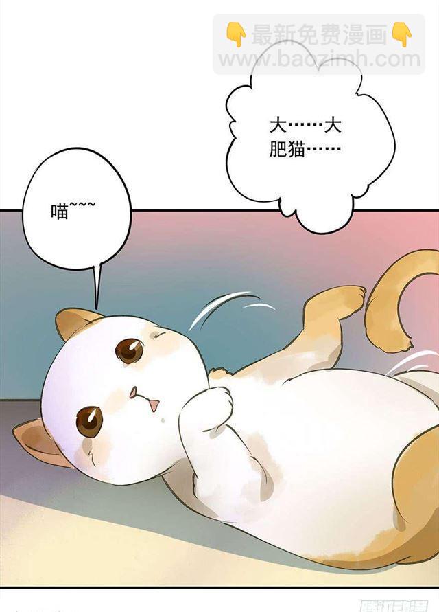 《朕也不想这样》金屋藏娇 第13页