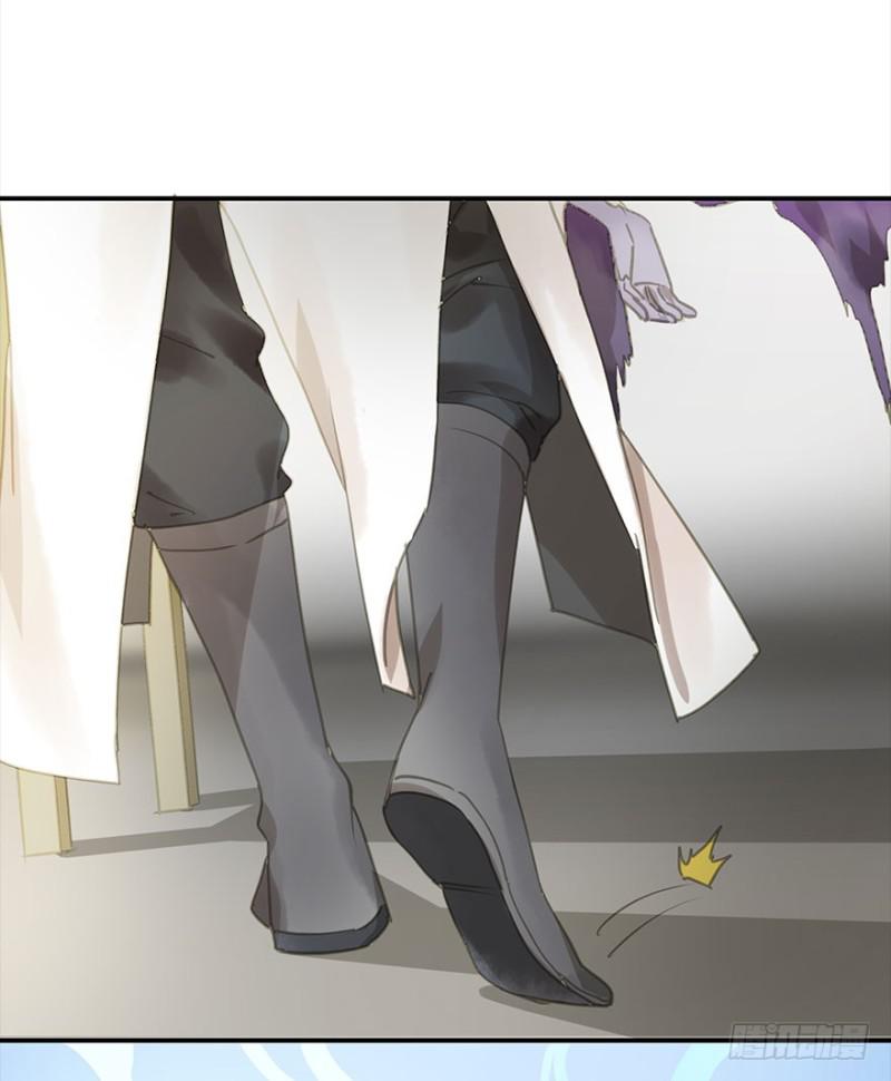 《朕也不想这样》不可追 第28页