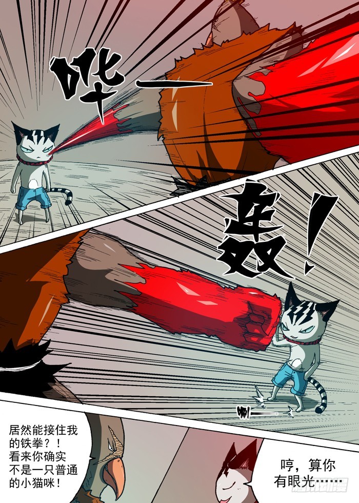 《叉！我很萌！》80 战鹰（上） 第5页