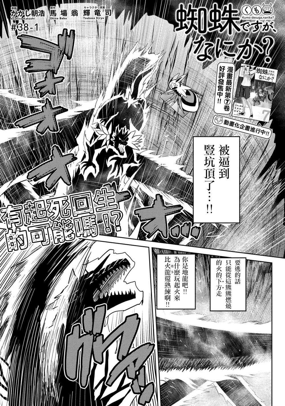 《不过是蜘蛛什么的》第38话 第1页