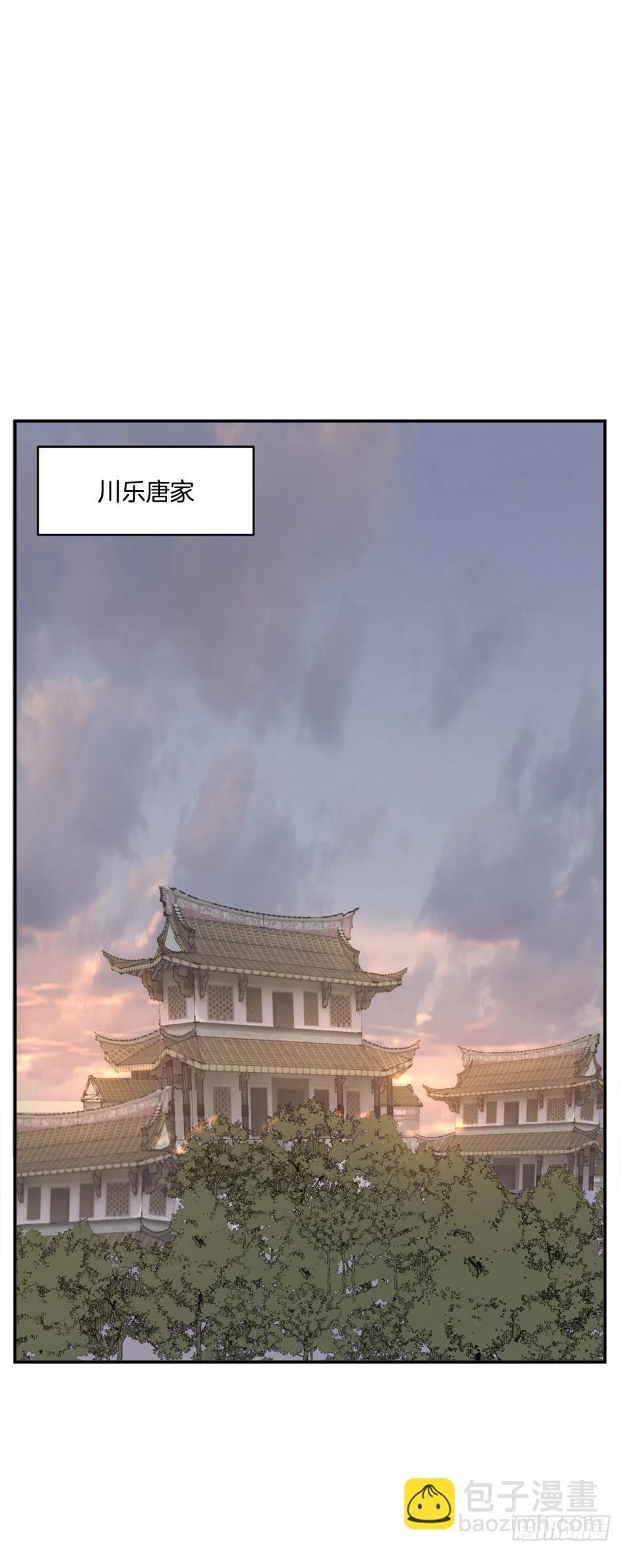 《不死至尊》32.唐雪芝 第17页