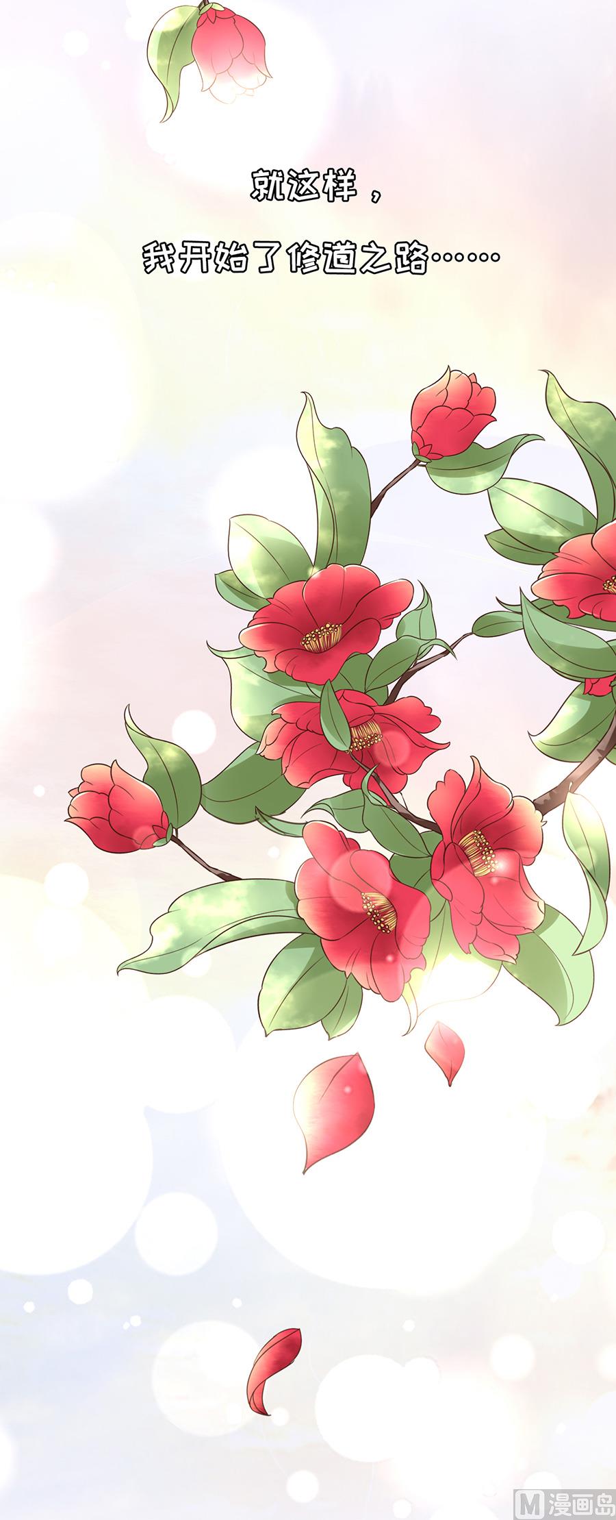 《神秘界的新娘》第123话 第31页