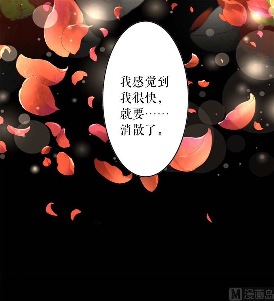 《神秘界的新娘》第204话 第31页
