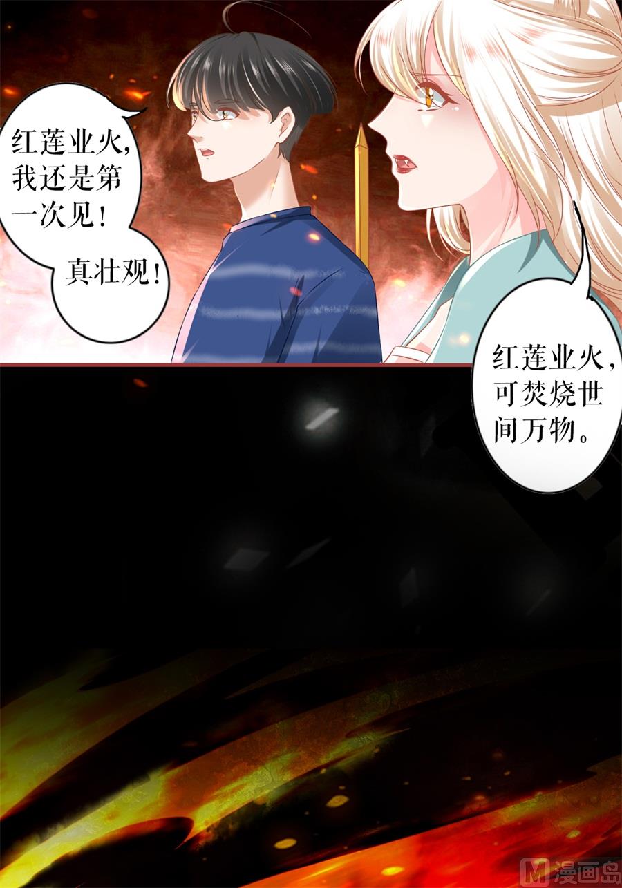 《神秘界的新娘》第203话 第19页