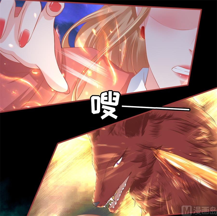 《神秘界的新娘》第208话 第19页