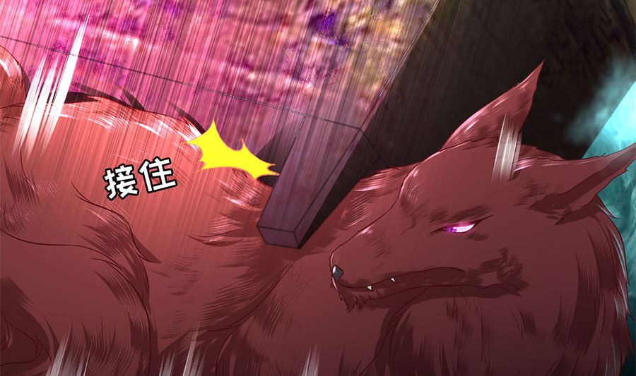 《神秘界的新娘》第205话 第46页