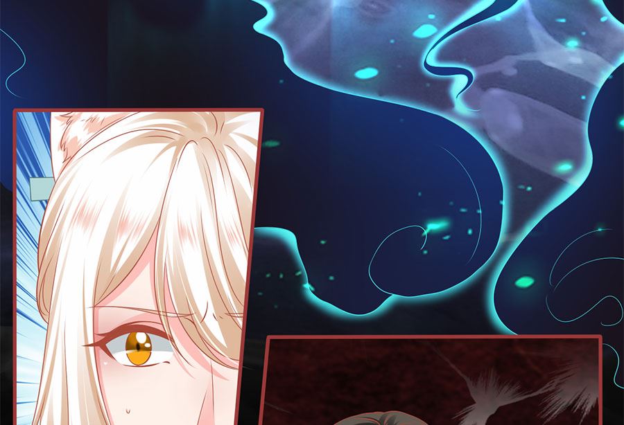 《神秘界的新娘》第205话 第5页