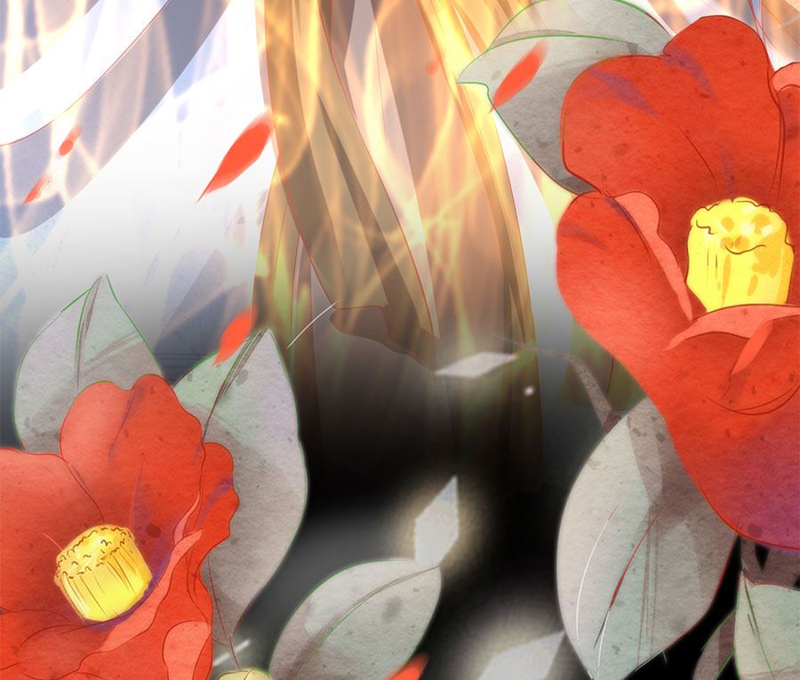 《神秘界的新娘》第209话 第46页
