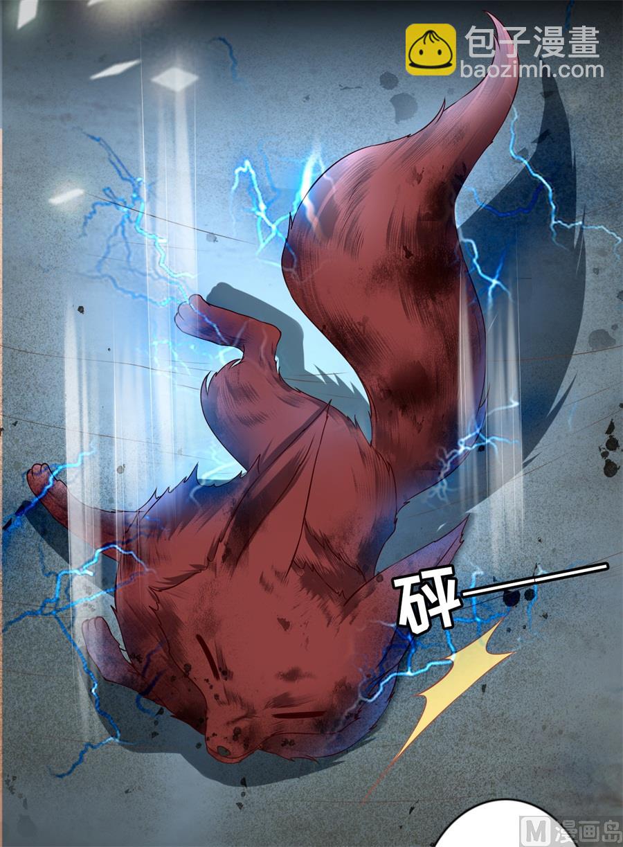 《神秘界的新娘》第213话 第12页