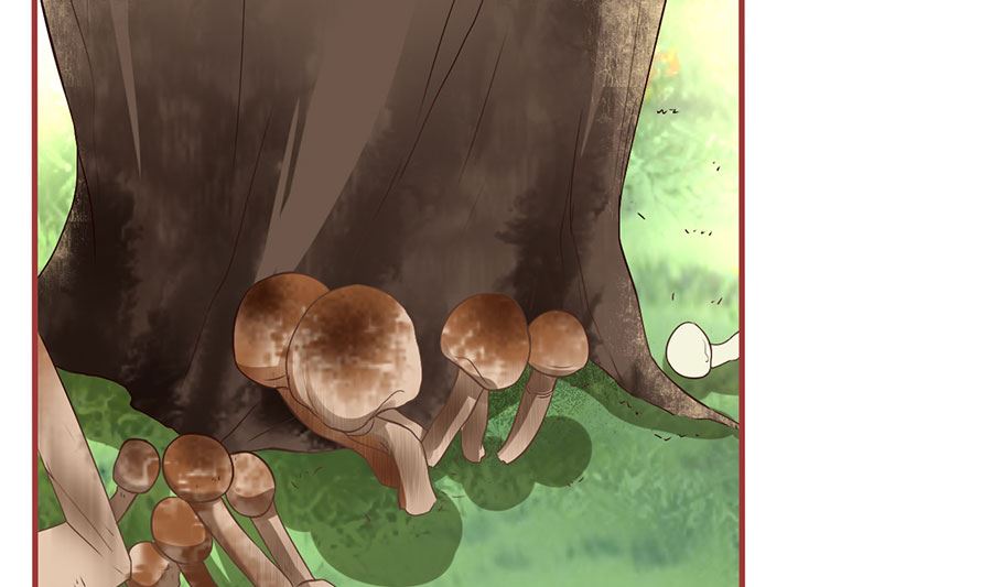 《神秘界的新娘》第219话 第8页