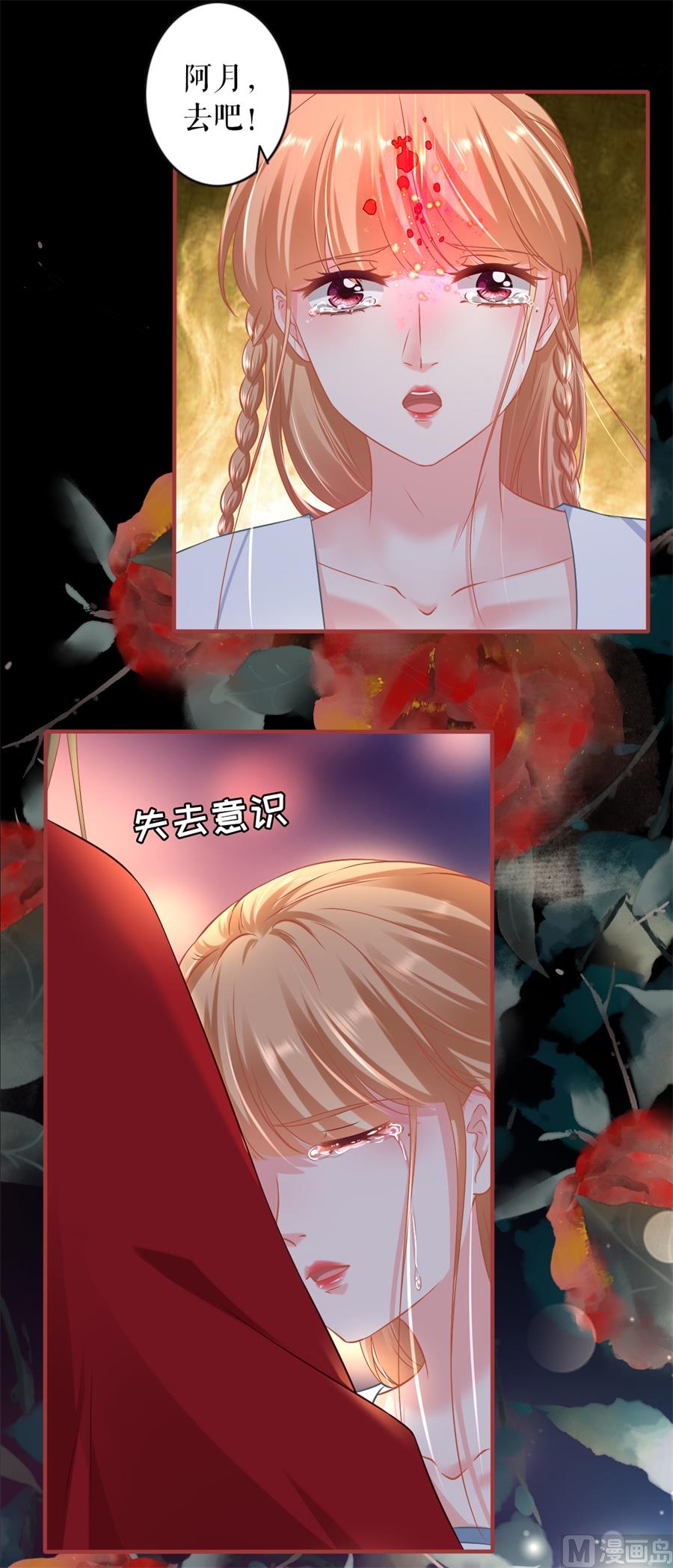 《神秘界的新娘》第233话 第29页