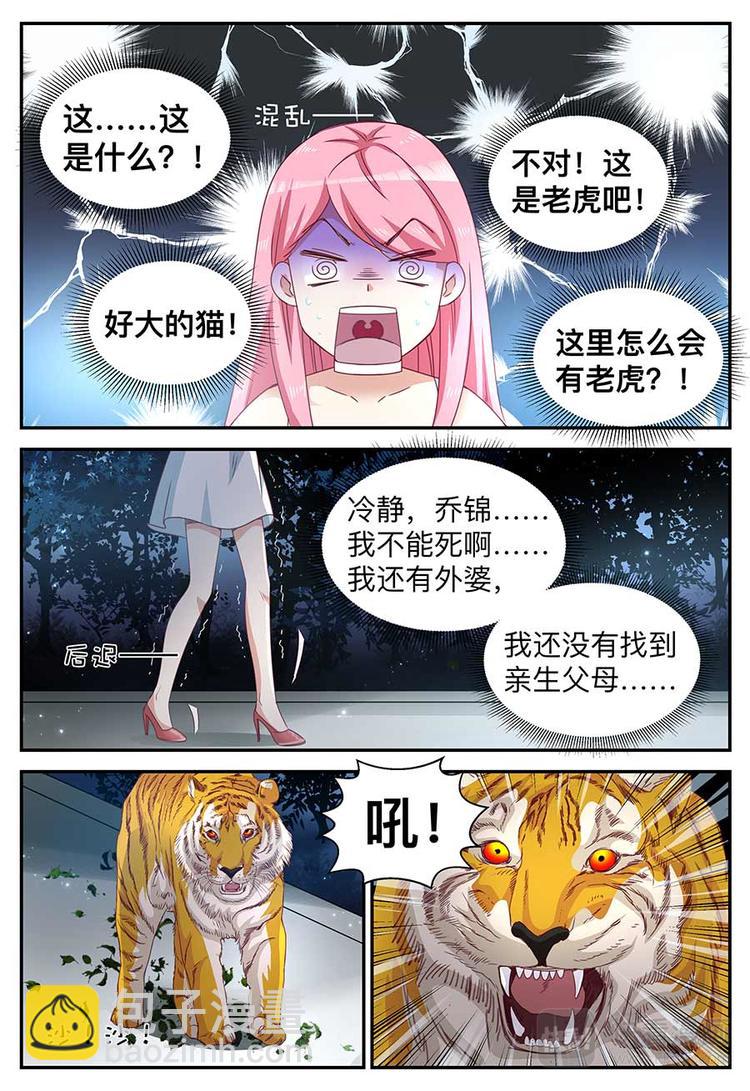 《天价豪宠惹火小萌妻》第15话 蠢女人 第3页