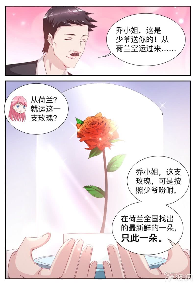 《天价豪宠惹火小萌妻》第53话 玫瑰花 第7页