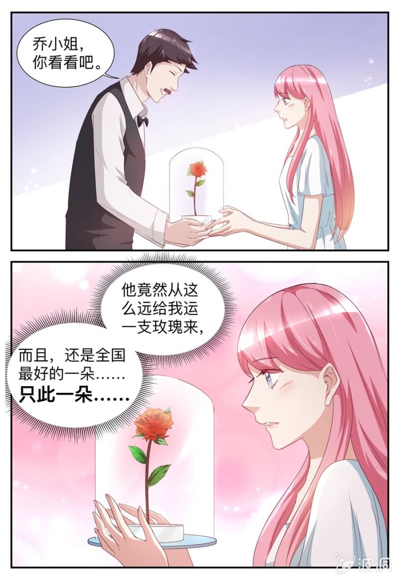 《天价豪宠惹火小萌妻》第53话 玫瑰花 第8页