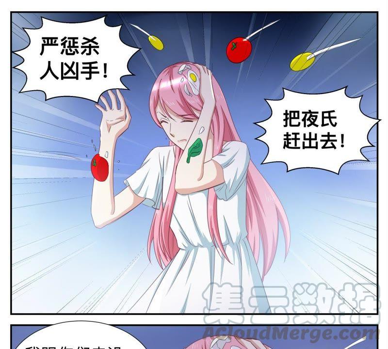 《天价豪宠惹火小萌妻》第63话 有什么事冲我来 第13页