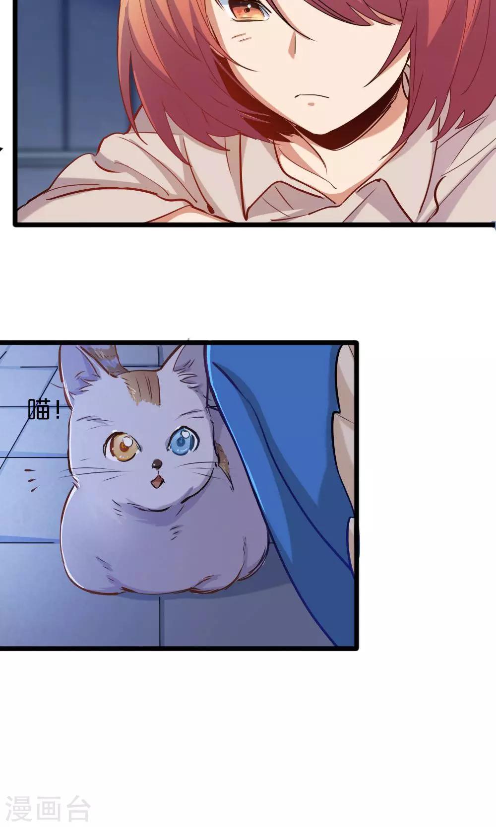 《我是江小白》第14话 有猫了1 第17页
