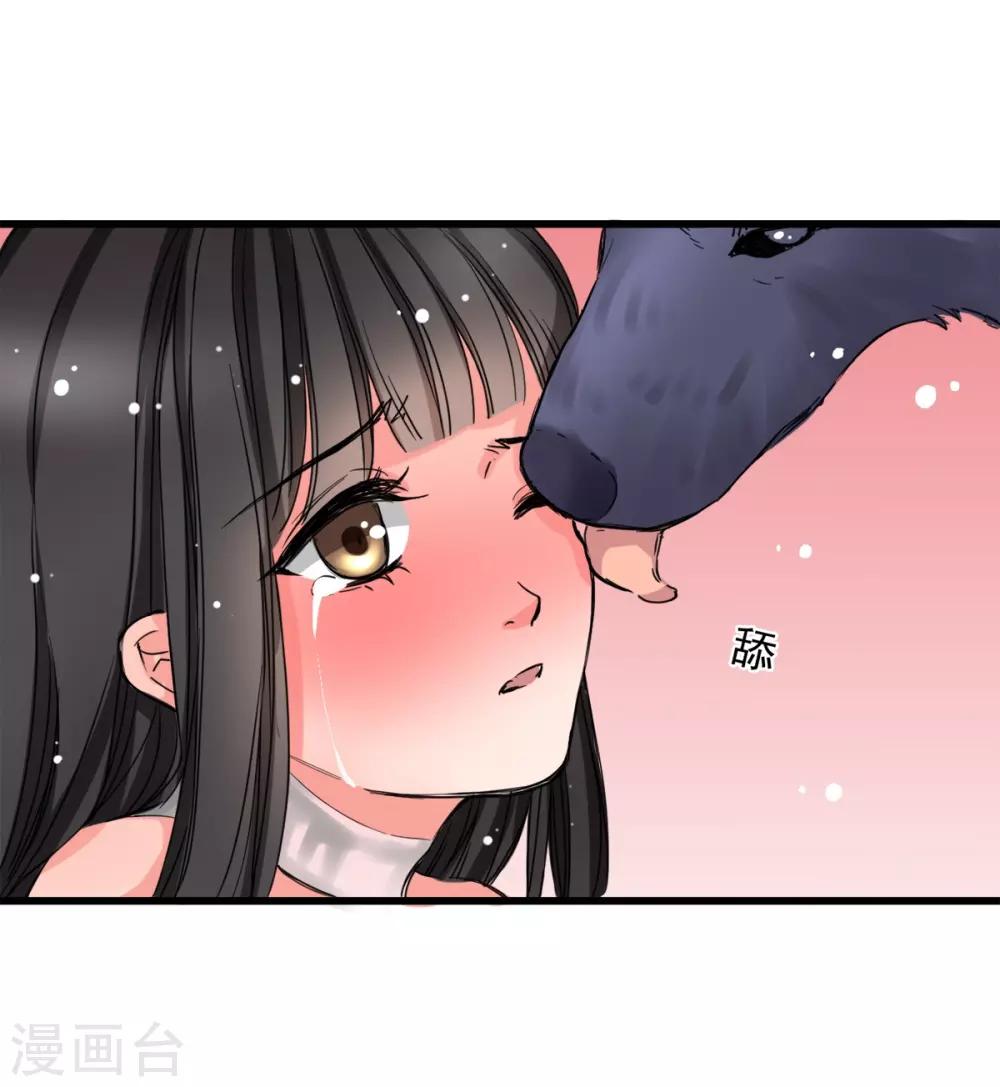 《兽王的专宠（暴君专宠）》第3话 咸猪手 第3页