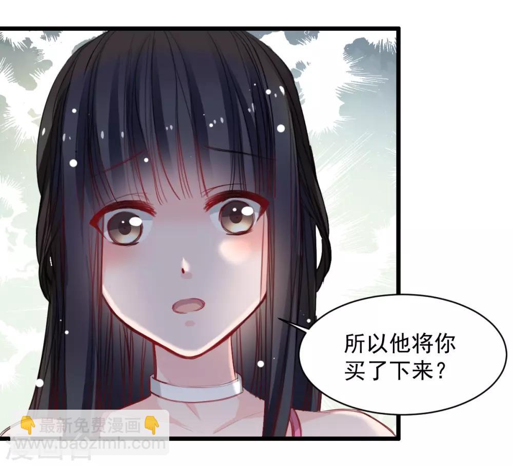 《兽王的专宠（暴君专宠）》第37话 肖雨的身世 第13页