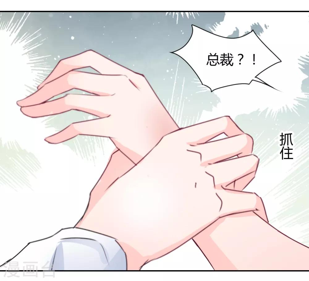 《兽王的专宠（暴君专宠）》第85话 绝妙计划 第4页